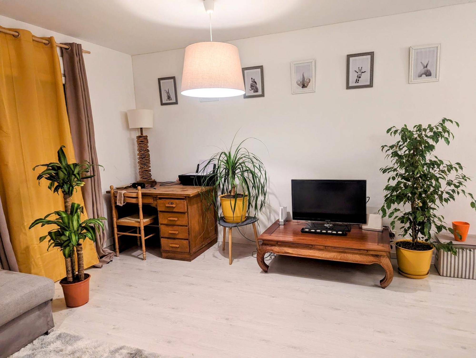 Appartement Cocooning Perpignan Exterior photo